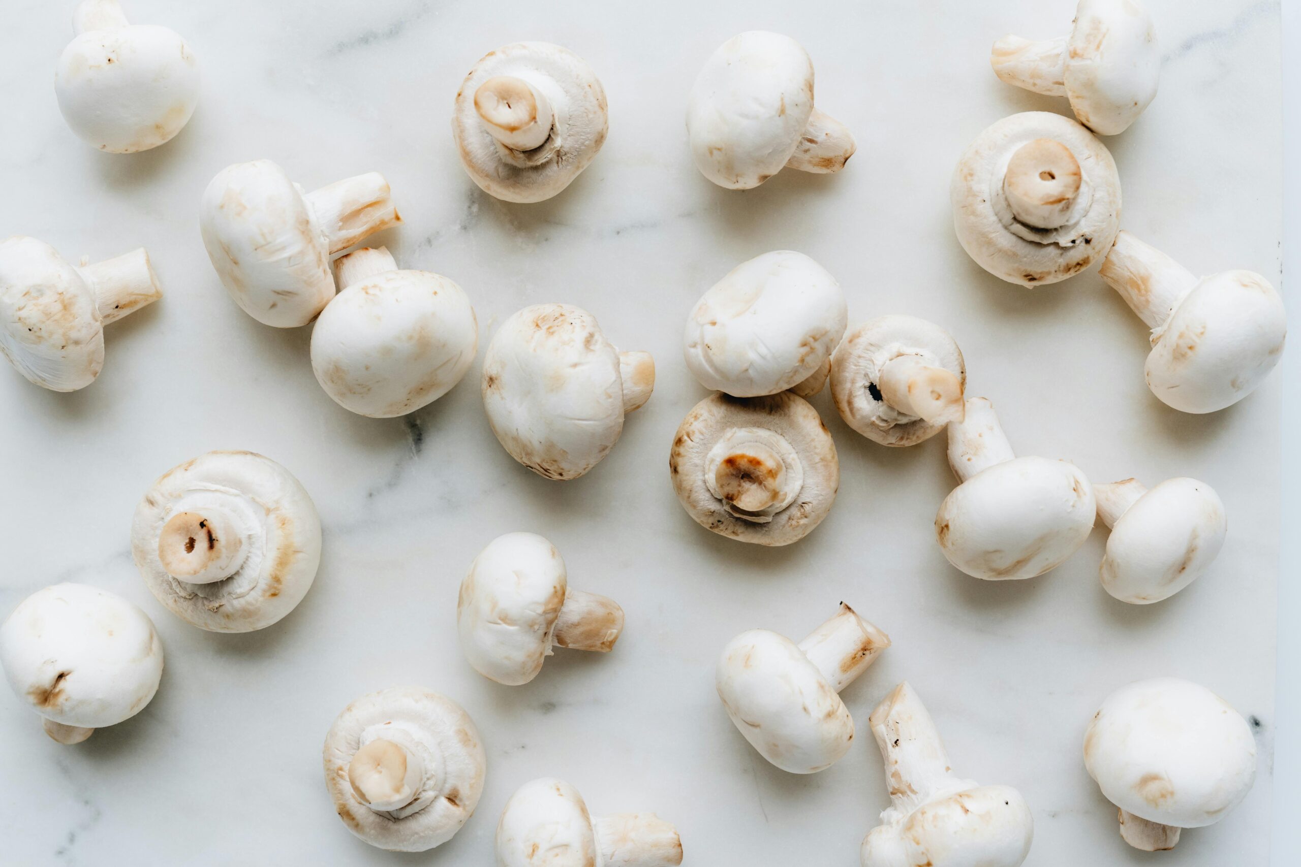 Why Wholesale Mushroom Supply is the Backbone of the F&B Industry Today